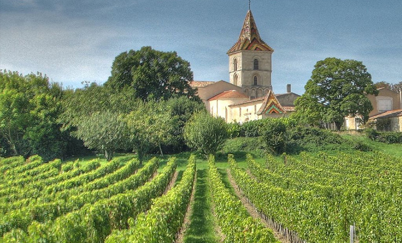 Bordeaux wine | ingenious travel
