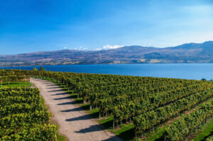 Mission Hill Winery of Lake Okanagan | ingenious travel