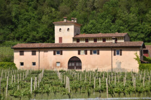 Franciacorta wine farm | ingenious travel