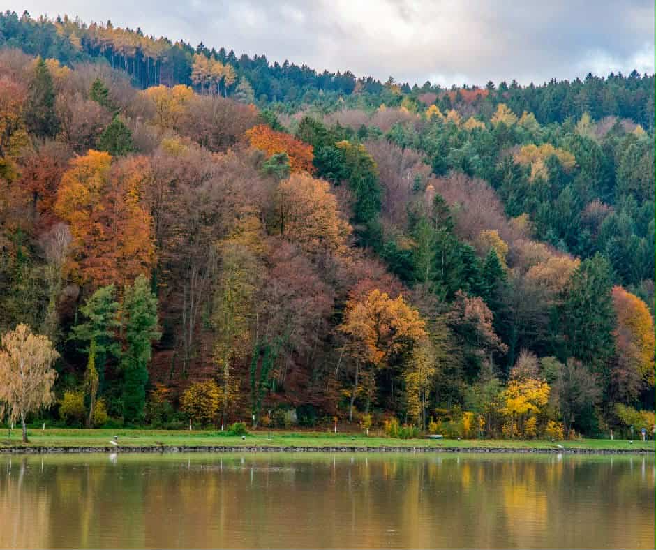 fall river cruise | Ingenious travel