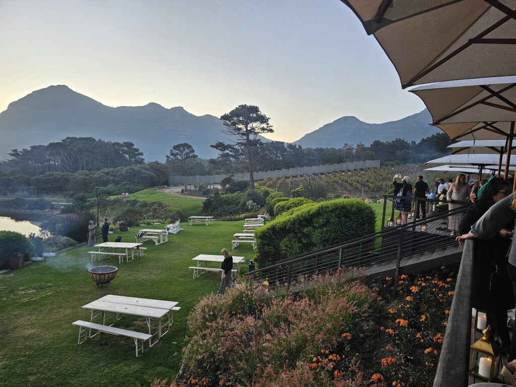 Cape Point Vineyards | winery | South Africa | Ingenious Travel